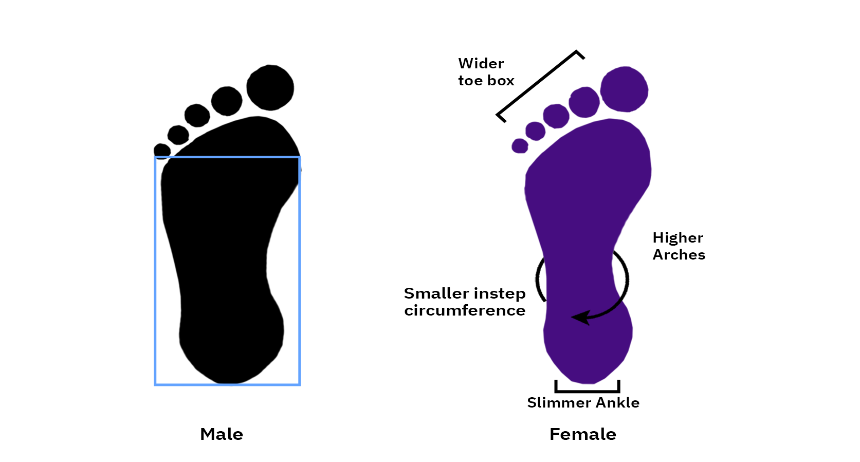 Men's feet vs Women's: Whats the difference?