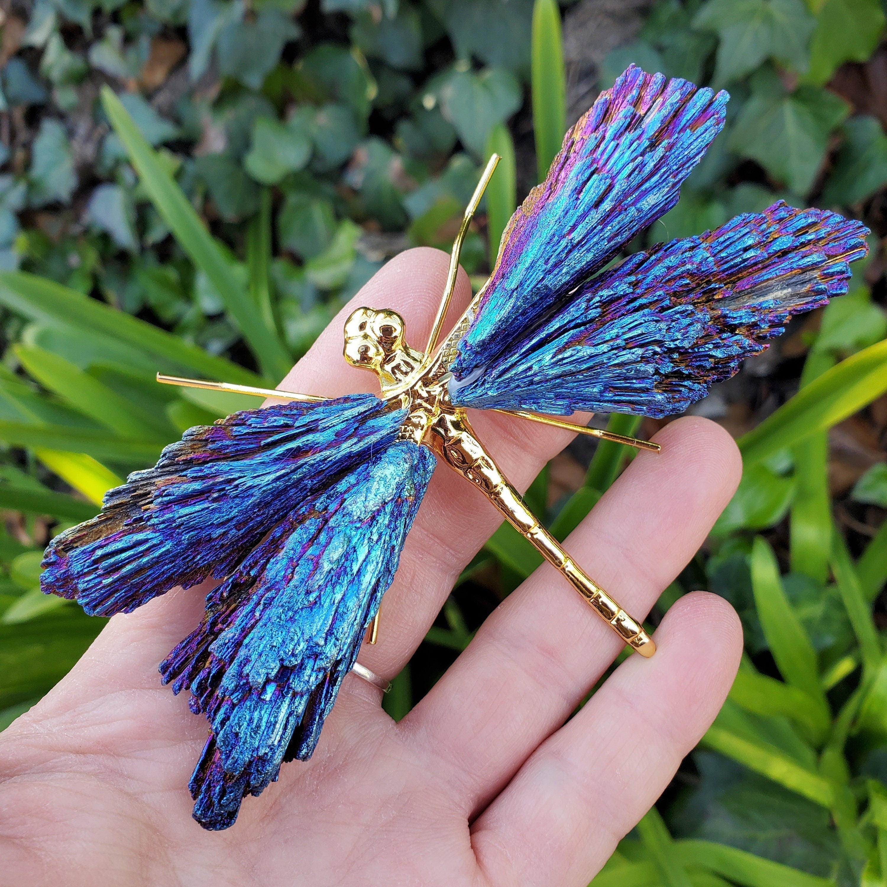 Aura Tourmaline Kyanite Dragonfly