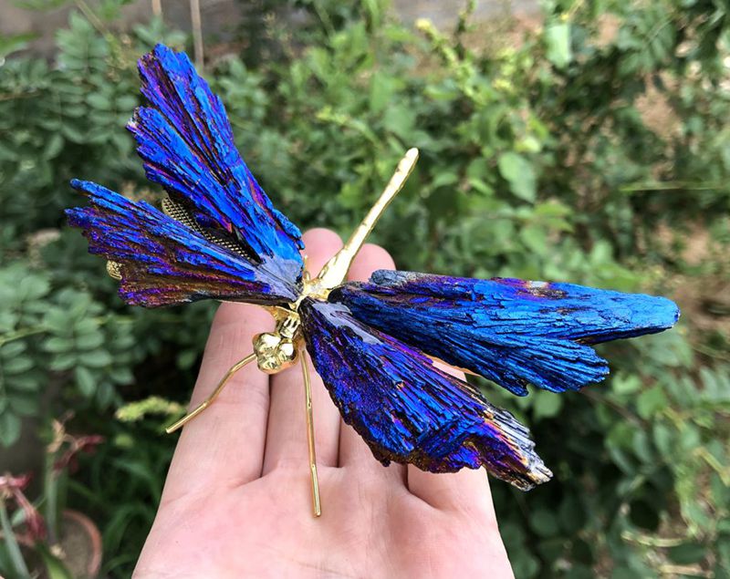 Aura Tourmaline Kyanite Dragonfly