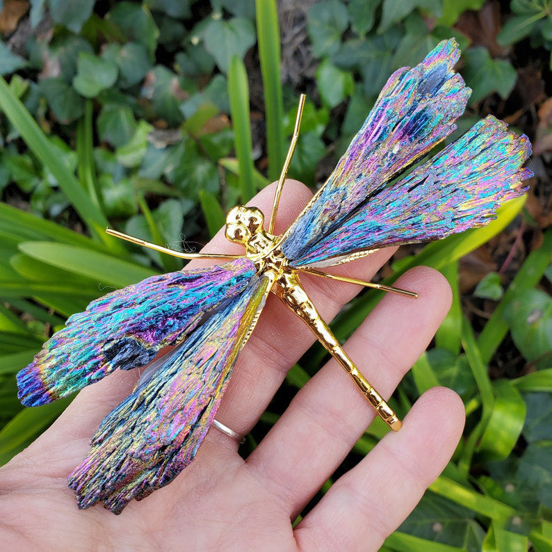 Aura Tourmaline Kyanite Dragonfly