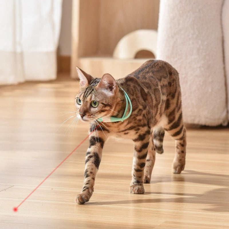 🎁Hot Sale🐱Rechargeable Wearable Electronic Collar for Cat