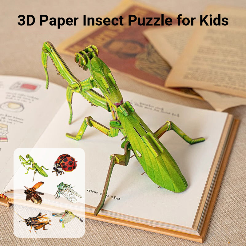 3D Paper Insect Puzzle for Kids