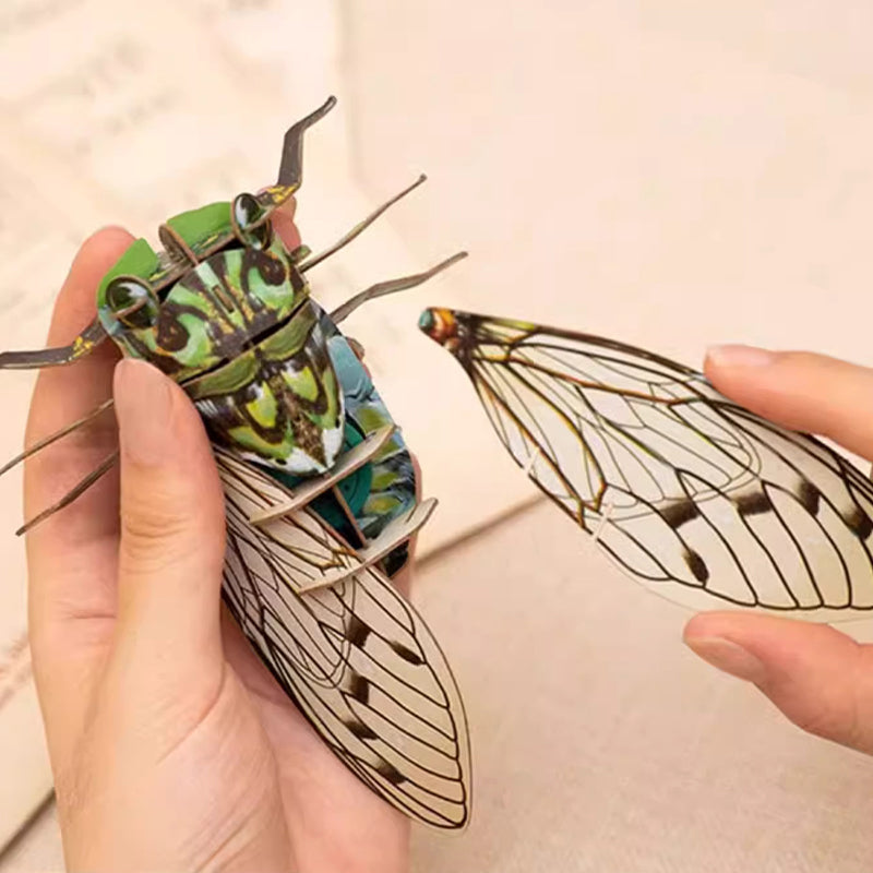 3D Paper Insect Puzzle for Kids